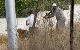 تمهيدًا لهدمه.. الاحتلال يُسلّم عائلة الشهيد فاروق رمضان أمرًا بإخلاء منزلها خلال 72 ساعة