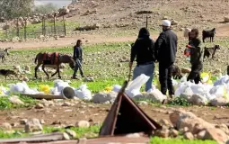 صورة تعبيرية
