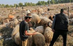 صورة تعبيرية
