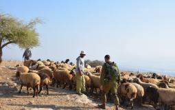 صورة تعبيرية