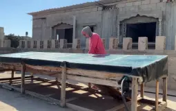 المهندسة إيناس الغول