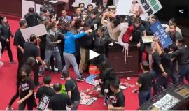 تراشق بأحشاء الخنازير داخل البرلمان التايواني (فيديو) -