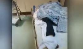 10000000_409245266882075_5795769226829656795_n