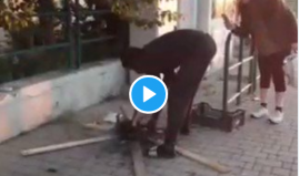 "صادم ووحشي"... شوي قطة في الشارع أمام أعين المارة