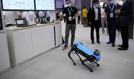 روبوتات على شكل كلاب تطالب الناس بالحفاظ على قواعد التباعد الاجتماعي