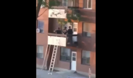 تويتر - Ibrahim Hindy على تويتر- -This is insane. This happened in Malton today. The police were called because a man was suffering a mental health crisis. So what did the police do- They climbed a ladder, entered the apa