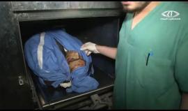 #شاهد| الشهيد إياد منير عرفات غيث (23 عاما)، الذي ارتقى برصاص وحدات خاصة "إسرائيلية" في منطقة جبل جوهرة بمدينة #الخليل المحتلة مساء أمس. 
تقرير: فداء نصر