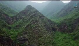 مشهد جوي.. رداء أخضر ساحر يسكو جبال محافظة #رجال_ألمع بمنطقة #عسير في المملكة العربية #السعودية 

فيديو: رشود الحارثي