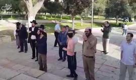 #شاهد مستوطنون صهاينة يقتحمون باحات المسجد الأقصى المبارك بحماية مشددة من قبل قوات الاحتلال