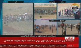 #مباشر حدود قطاع #غزة تنتفض بالمشاركين في #مسيرة_العودة_الكبرى