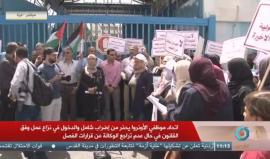 #مباشر موظفو الأونروا في غزة يحتجون على فصل عدد كبير من موظفي برنامج الطوارئ