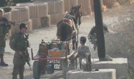 #شاهد| قوات الاحتلال تفتش عربة خضار في منطقة الحريقة بالخليل، اليوم.
تصوير : مي دعنا