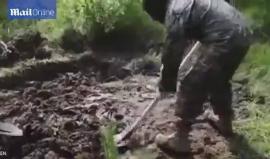 #شاهد ..  ..جنود أوكرانيون يعذّبون جنديّاً روسيّاً ثم يدفنوه حياً !

أظهر تسجيل فيديو نشرته قناة “زفيزدا” الروسية، عملية دفن جندي روسي حياً، من قِبَل جنود أوكرانيين، بعد تعذيبه، لأنه "انفصالي".

وظهر في الفيديو رجال يرتدون الزي العسكري الأوكراني ويتحدثون 