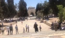 #بث_مباشر صلاة الجمعة في المسجد الأقصى المبارك