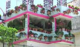 #شاهد
رامي نخلة من مخيم #الجلزون يحول منزله إلى حديقة .
تقرير إبراهيم الرنتيسي