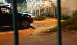 #شاهد قوات الاحتلال تمنع "عيد ميلاد" في حارة السلايمة بالخليل وتعتقل "عيسى عمر" أحد المنظمين 

تصوير: رائد أبو رميلة