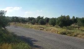 #مباشر من المواجهات المندلعة على مدخل بلدة تقوع شرق بيت لحم.