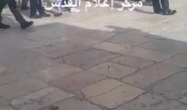 #فيديو عشرات المستوطنين اقتحموا المسجد الأقصى المبارك اليوم بحماية قوات الاحتلال