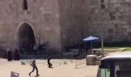 #شاهد قوات الاحتلال تفتش شاباً فلسطينيًا قرب باب الساهرة أحد أبواب القدس المحتلة