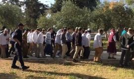 #فيديو قطعان المستوطنين يقتحمون باحات المسجد الاقصى المبارك بحماية قوات الاحتلال