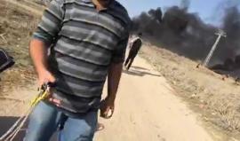 #شاهد #مباشر تجمع للشبان على الحدود الشرقي في جباليا شمال قطاع غزة
تصوير عبد الرحمن الكحلوت