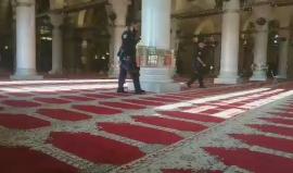 #شاهد | قوات الاحتلال تقتحم المسجد القبلي صباح اليوم للتفتيش - الأقصى المبارك