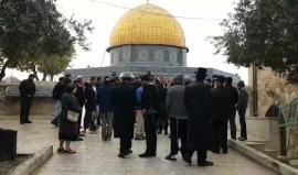 #شاهد نحو 80 مستوطن يهودي يقتحمون المسجد الأقصى المبارك بحماية قوات الاحتلال. 
#القدس_عاصمة_فلسطين