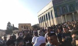 #مباشر #عاجل : قوات الاحتلال تقتحم المسجد الاقصى وتعتدي على المصليين