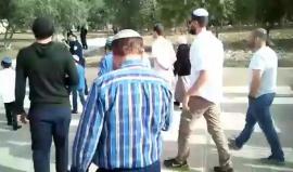 #شاهد المستوطنون يقتحمون الأقصى ويتلقون شروحات في باحاته