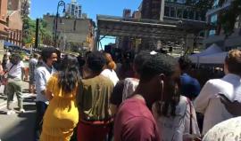 #مباشر مهرجان الجالية العربية في نيويورك