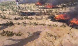 #مباشر 

المواجهات من نقطة صفر شرق المحافظة الوسطى. 

بث مراسلنا : أحمد المقادمة