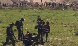 #فيديو لحظة اعتداء قوات الاحتلال على طواقم الإسعاف خلال محاولتهم اسعاف أحد المصابين على المدخل الشمالي لمدينة البيرة