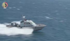 #شاهد| القوات البحرية المصرية والأمريكية تختتم تدريب "تحية النسر 2017"

تقرير لوزارة الدفاع المصرية