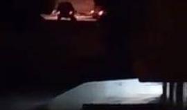 #شاهد 
اندلاع مواجهات عقب اقتحام قوات الاحتلال لبلدة بيت فوريك شرق نابلس.