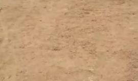 #مباشر : من مخيم العودة شرق المحافظة الوسطى .

#مراسلنا : احمد المقادمة