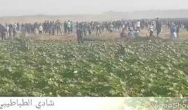 #شاهد لحظات اجتياز الشبان السياج الفاصل شرق مدينة غزة ودخولهم الأراضي المحتلة عام 48 وهروب قوات الإحتلال.
تصوير شادي الطباطيبي