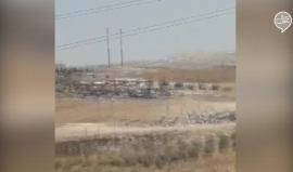 #شاهد استنفار أمني والطلب من الصهاينة في "مستوطنة آدم" بين القدس ورام الله البقاء في المنازل بعد الاشتباه بحالة تسلل للمستوطنة