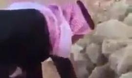 #شاهد
ماذا فعلت البرودة  في حيوانات السعودية ؟