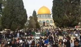 #شاهد #مباشر صلاة الجمعة من قلب العاصمة الفلسطينية - المسجد الأقصى المبارك . 
#القدس_عاصمة_فلسطين