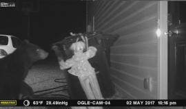 #شاهد ماذا فعل لإخافة الحيوانات التي تزعجه!