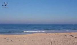 فيديو - زوارق الاحتلال تُطارد مراكب صيد فلسطينية في عرض بحر بيت لاهيا شمال قطاع غزة تزامنا مع إطلاق نار