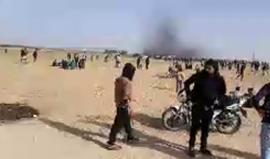 #مباشر استمرار اعتداء قوات الاحتلال على المشاركين في #جمعة_الكوشوك قرب السياج الفاصل شرق رفح جنوب قطاع غزة . 
#مسيرة_العودة_الكبرى