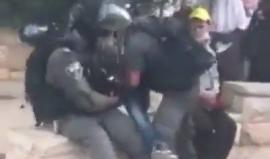 #شاهد جنود الاحتلال يعتدون بوحشية على شاب فلسطيني في المسجد الأقصى.

#القدس_تنتصر