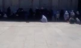 في الذكرى ٤٩ لإحراق الاقصى..

#مباشر .. تكبيرات العيـد من العاصمة الفلسطينية المحـتلة