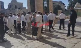 #شاهد مستوطنون يقتحمون الأقصى احتفالا بما يسمى عيد "الأسابيع" بحماية أمنية مشددة