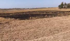 إعلام الاحتلال ينشر فيديو يظهر الحرائق التي اندلعت في غلاف غزة بفعل الطائرات الورقية التي يطلقها الشبان الفلسطينيون من قطاع غزة