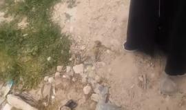 #مباشر من مراسم تشييع جثمان الشهيد عمير شحادة الذي ارتقى برصاص الاحتلال في عوريف جنوب نابلس مساء أمس