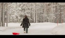 #شاهد #موطني فلسطين المحتلة . 

#إسرائيل_تحترق