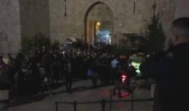 #شاهد إصابة 25 فلسطينيا اثر قمع قوات الاحتلال للمعتصمين في باب العامود بالقدس المحتلة قبل قليل .
#القدس_عاصمة_فلسطين