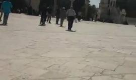 #بث_مباشر | خطبة الجمعة من المسجد الأقصى المبارك . 

تصوير : محمد دويك